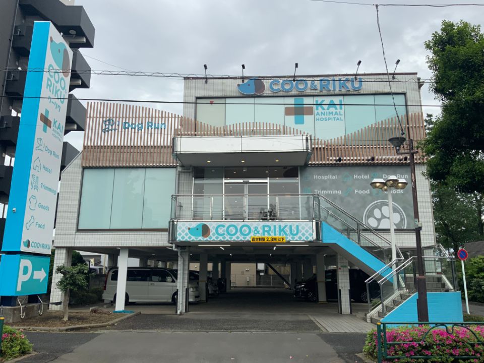 ペットショップCoo&RIKU練馬店